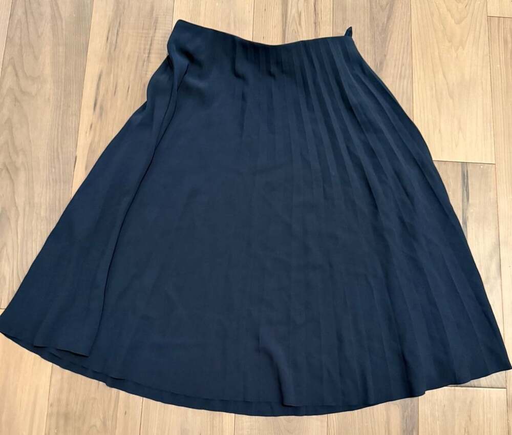 Everlane Navy Blue Pleated Midi Skirt
